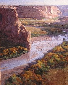 CHINLE WASH COTTONWOODS