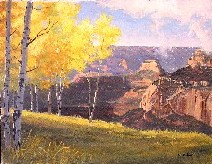 CANYON VIEW THRU ASPENS