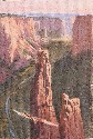 WINGS OF THE DAWN STUDY